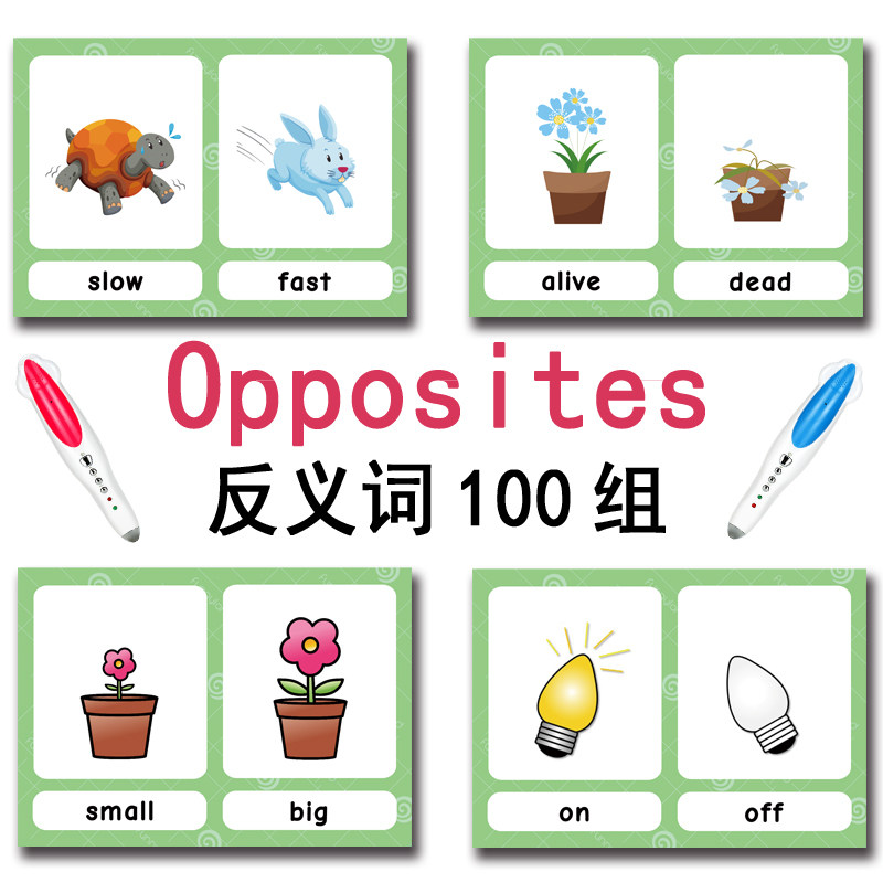 The 100 Groups Opposites Flash - Kids Home Education ulasan dan harga