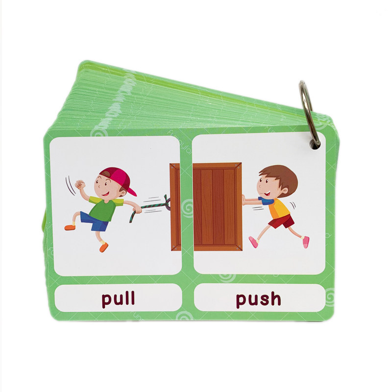 The 100 Groups Opposites Flash - Kids Home Education ulasan dan harga