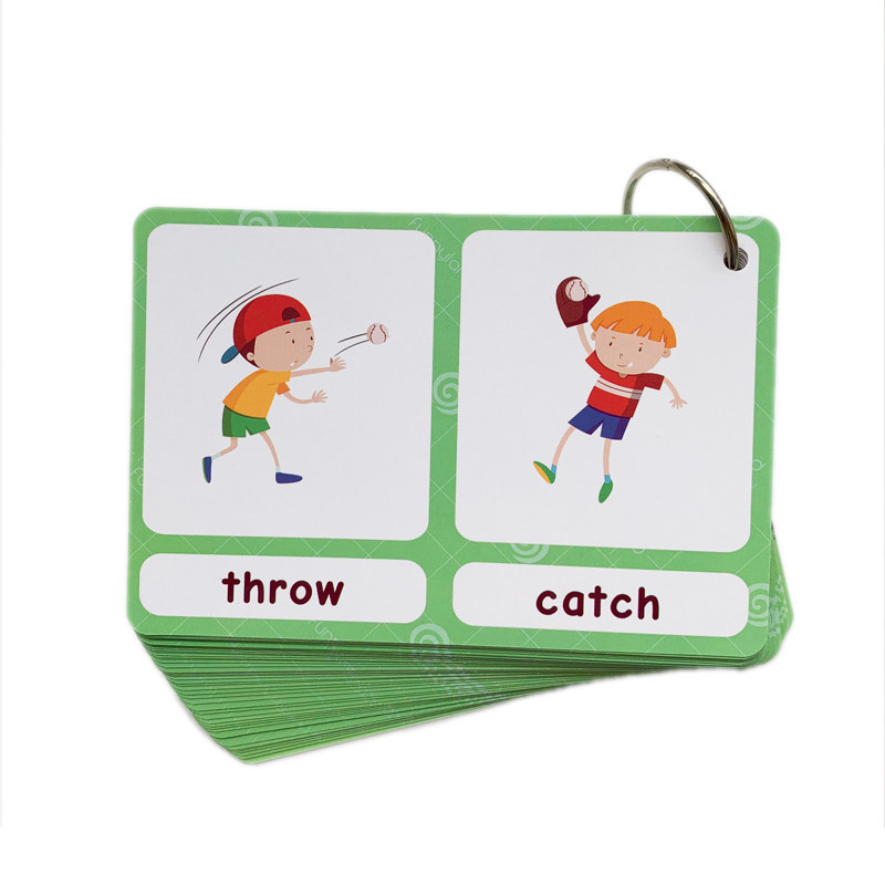 The 100 Groups Opposites Flash - Kids Home Education ulasan dan harga