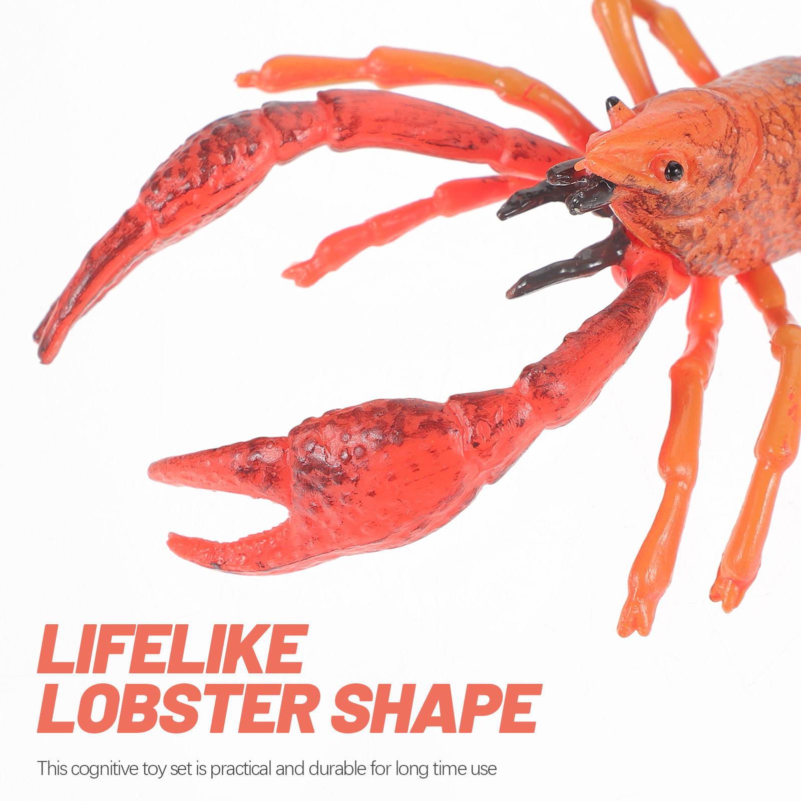 1Set Animal Cognitive Lobster  - Kids Education Help ulasan dan harga