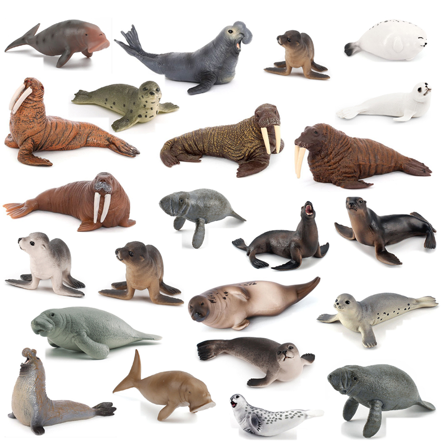 Realistic Dugong Manatee Walru - Kids Education Fun ulasan dan harga