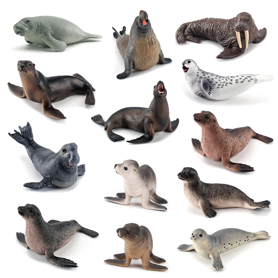 Realistic Dugong Manatee Walru - Kids Education Fun ulasan dan harga