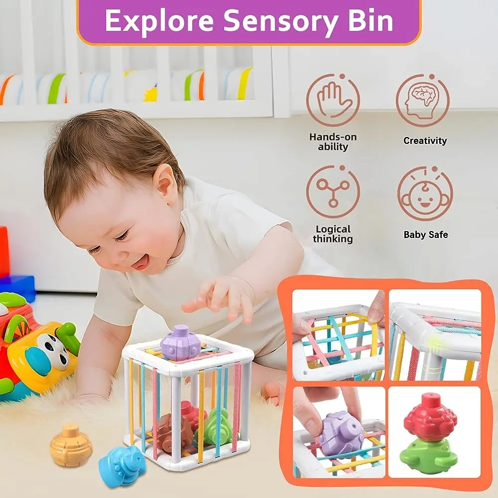 Rainbow Colorful Montessori Sh - Kids Home Education ulasan dan harga
