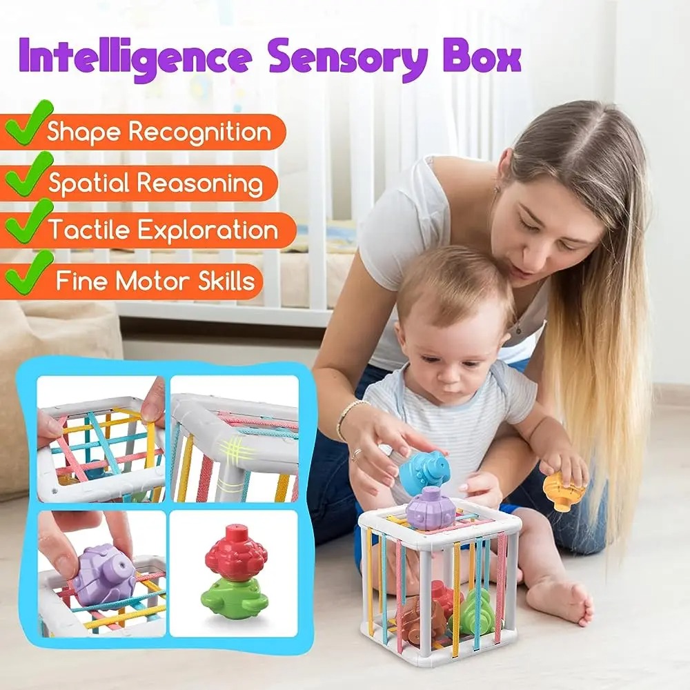 Rainbow Colorful Montessori Sh - Kids Home Education ulasan dan harga